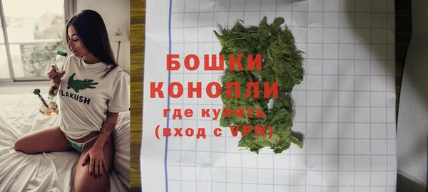 соль ск Саяногорск